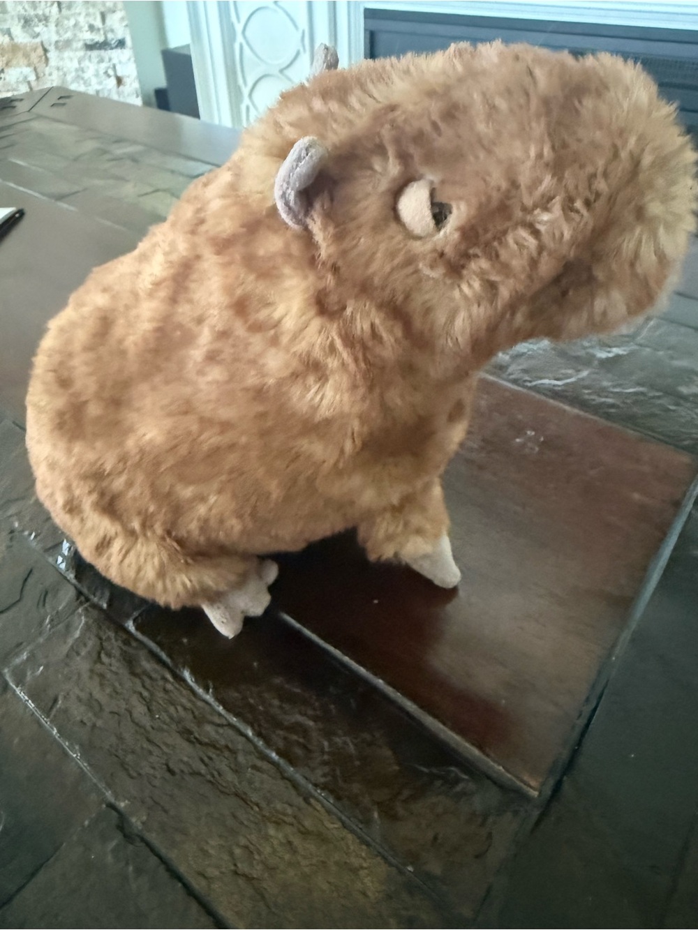 Jellycat Tan and Dark Brown Capybara Plush - Picture 7 of 11
